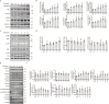 Supplementary Fig. S5