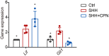 Supplementary Fig. S6