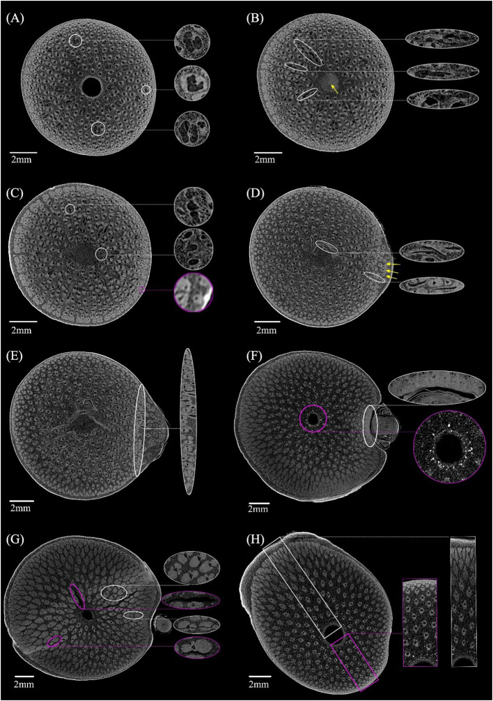 Figure 4