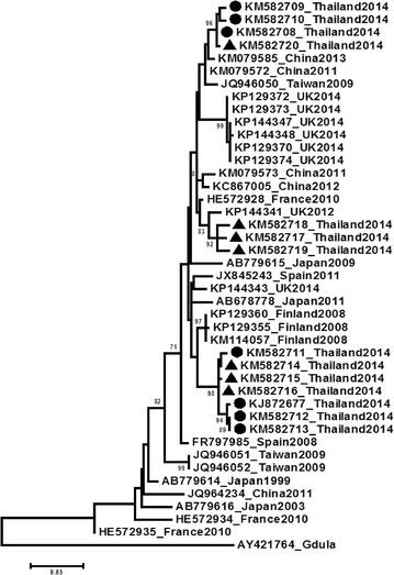 Figure 1