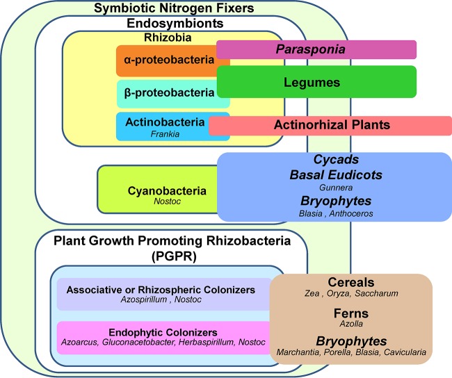 FIG 1