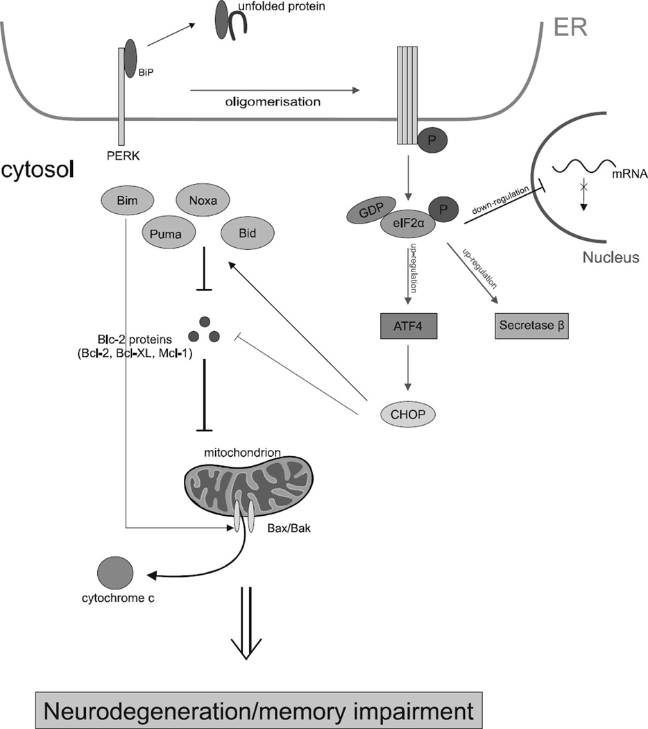 Fig. (4)