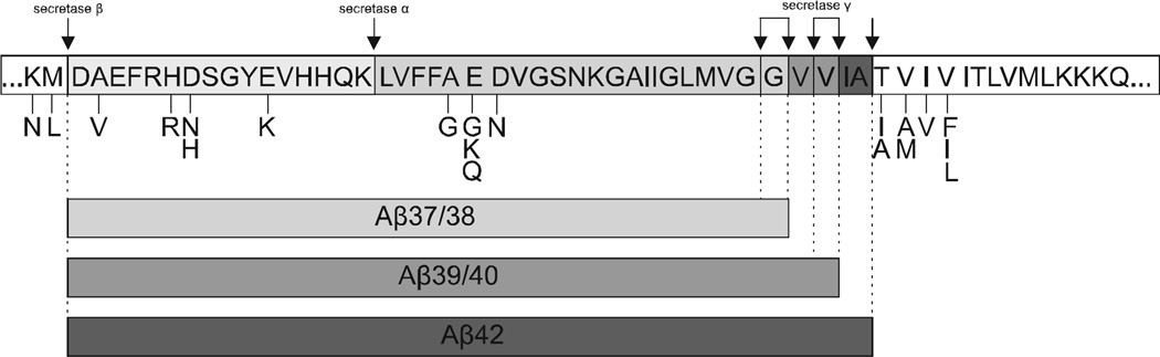 Fig. (2)