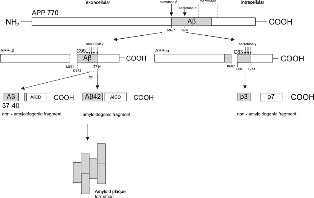 Fig. (1)