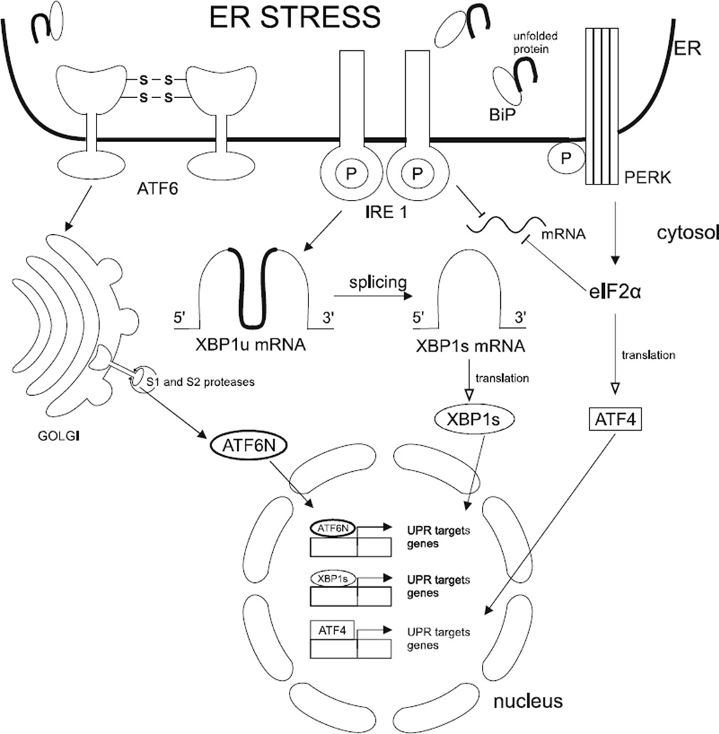 Fig. (3)