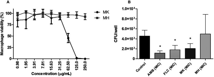 FIG 4