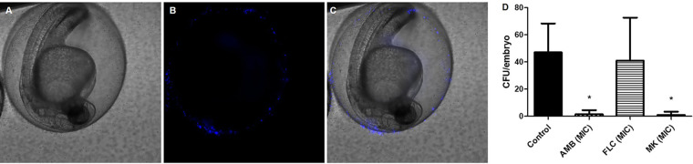 FIG 3