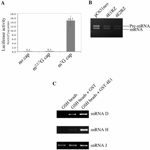 FIG. 6.