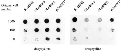 FIG. 2.