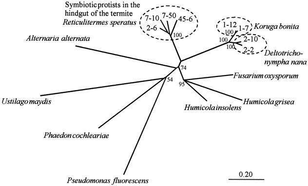 FIG. 7.