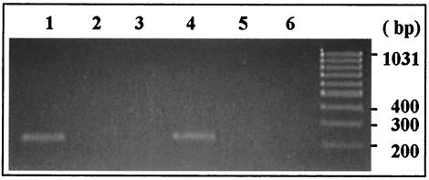 FIG. 5.