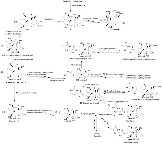 Figure 9