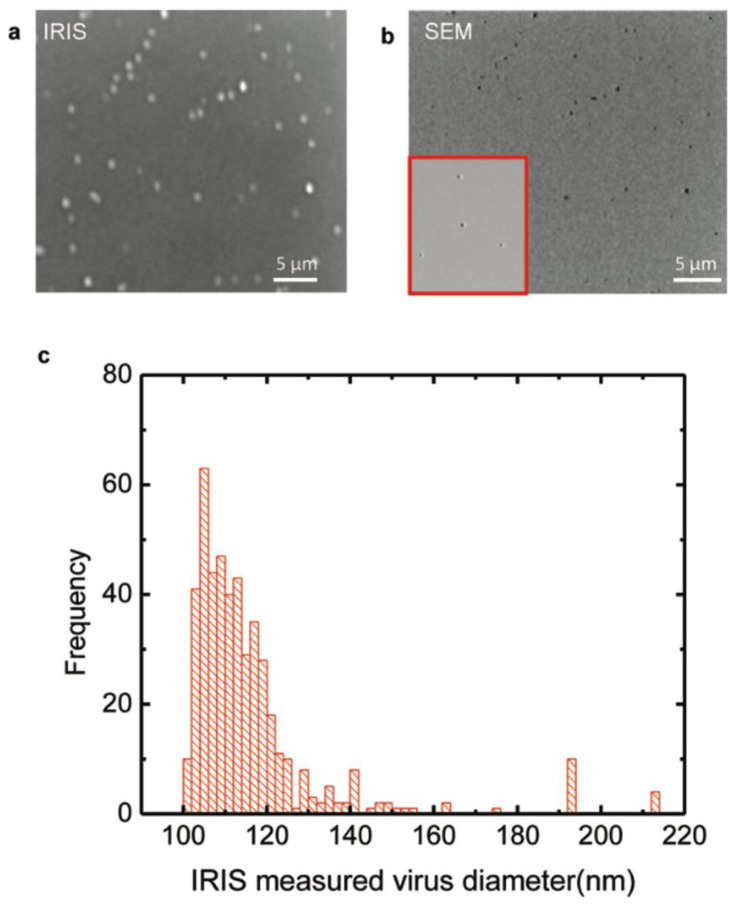 Figure 17