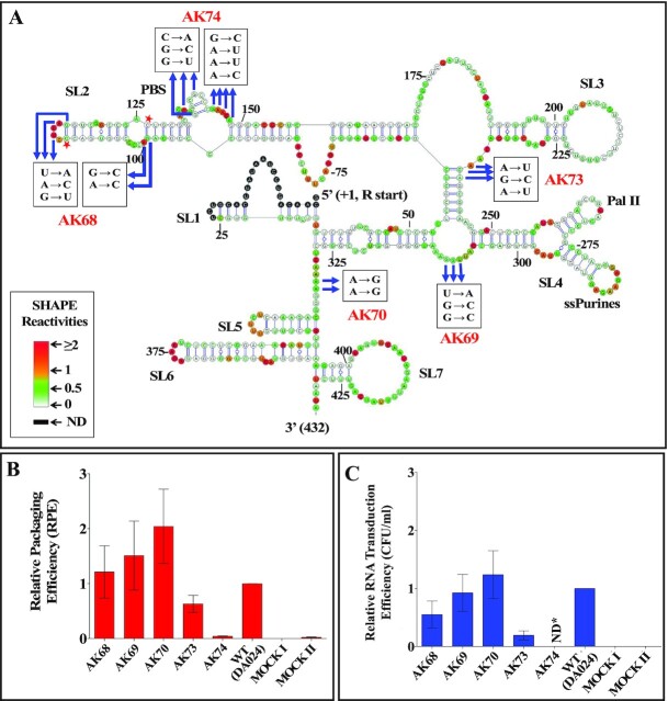 Figure 10.