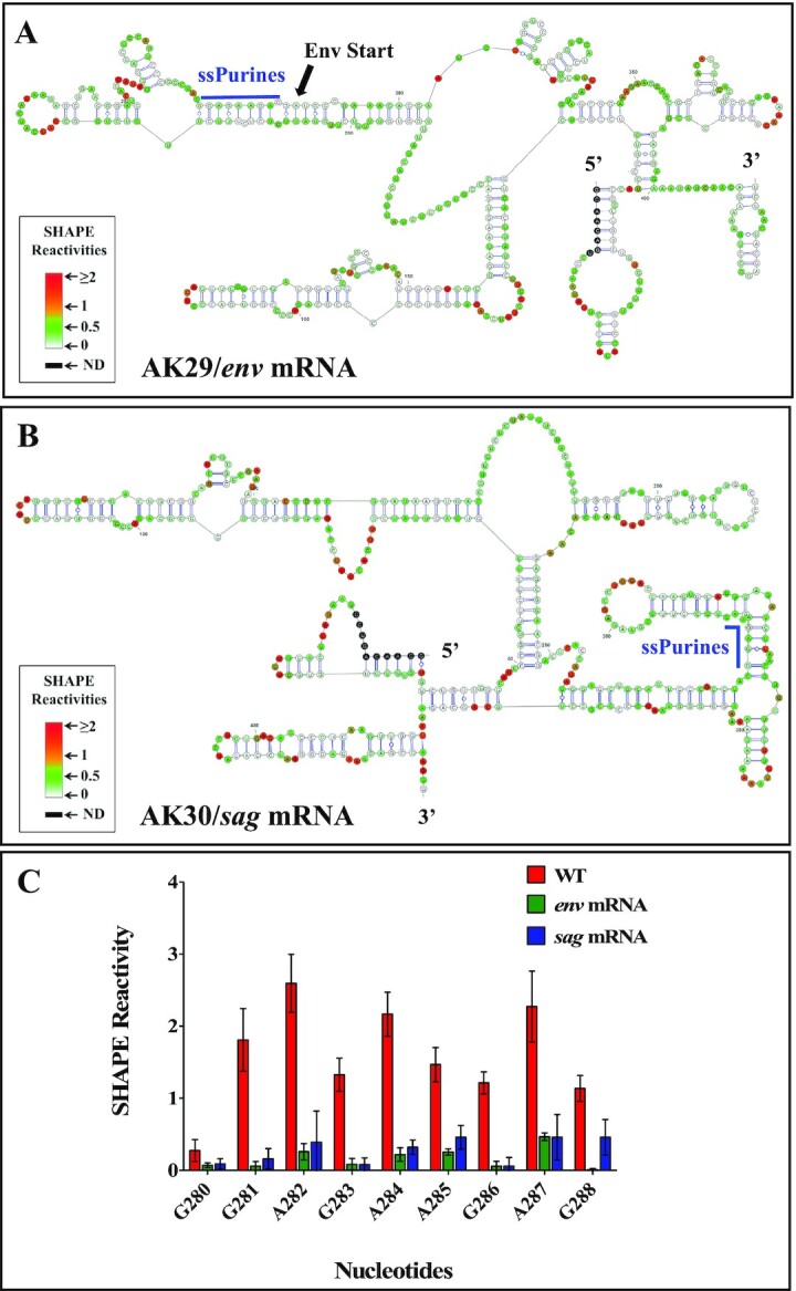 Figure 7.