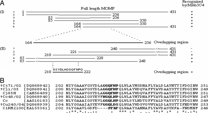 FIG. 4.