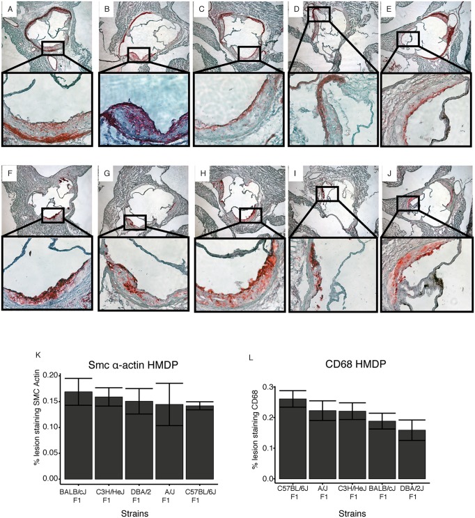 Fig 8