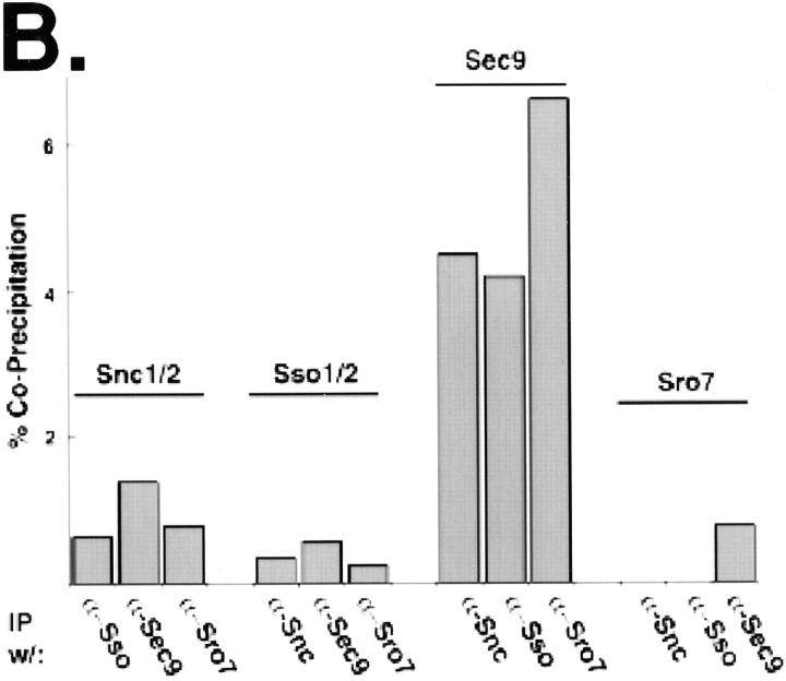 graphic file with name JCB9905002.f9b.jpg