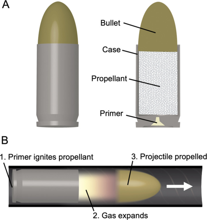 The cartridge or round, A, is the fundamental ammunition for firearms and is composed of a projectile (bullet), a propellant, and primer held together with a case. Firing a projectile, B, requires a barrel to effectively transfer kinetic energy.