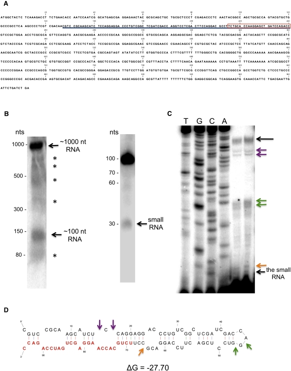 FIGURE 1.