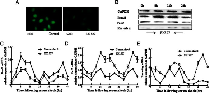 Figure 6.