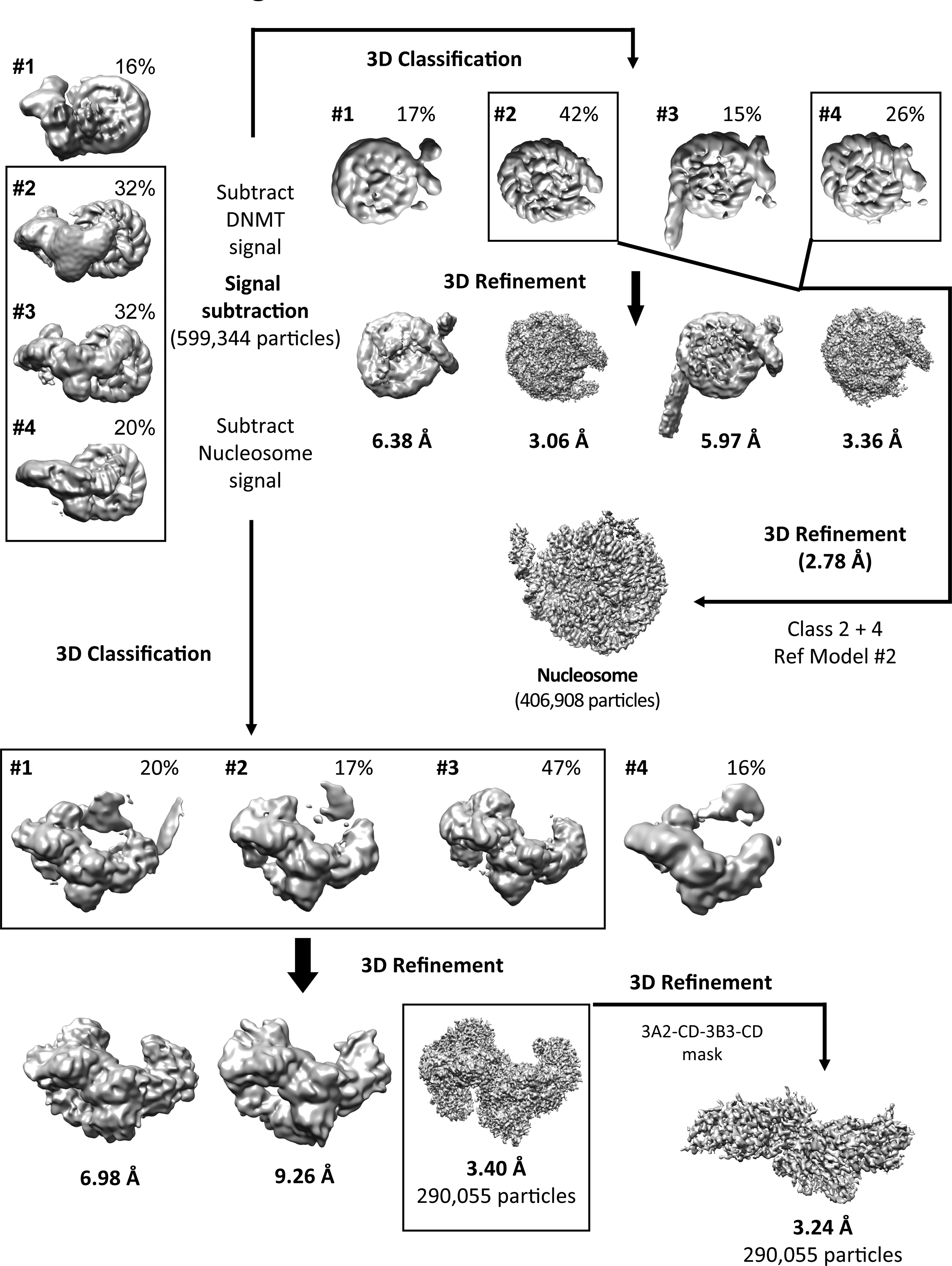 Extended Data Fig. 6.