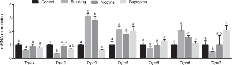 Figure 5.