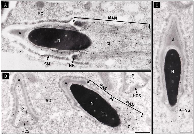 Figure 7.