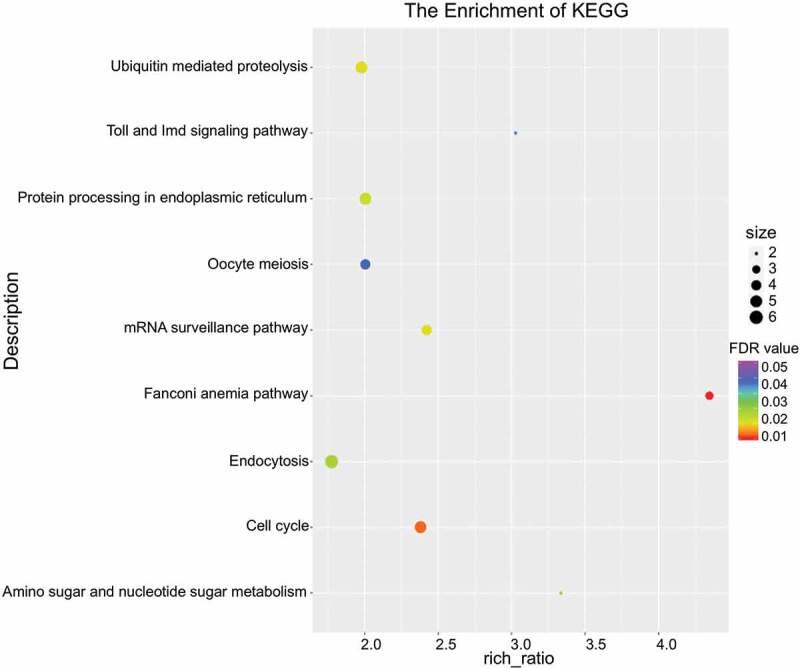 Figure 5.