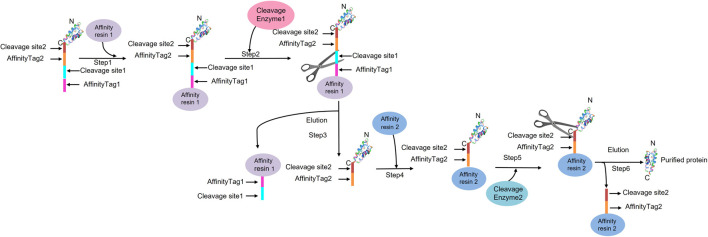 FIGURE 9