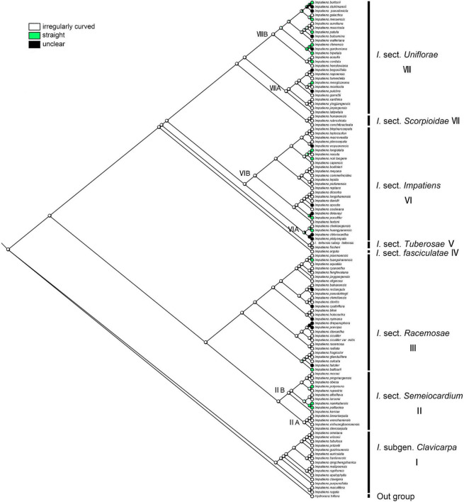 FIGURE 11