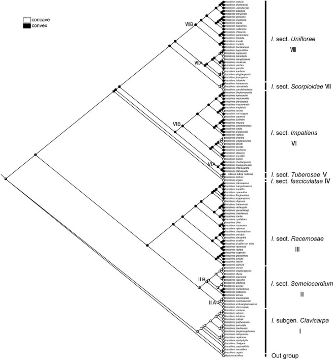 FIGURE 10