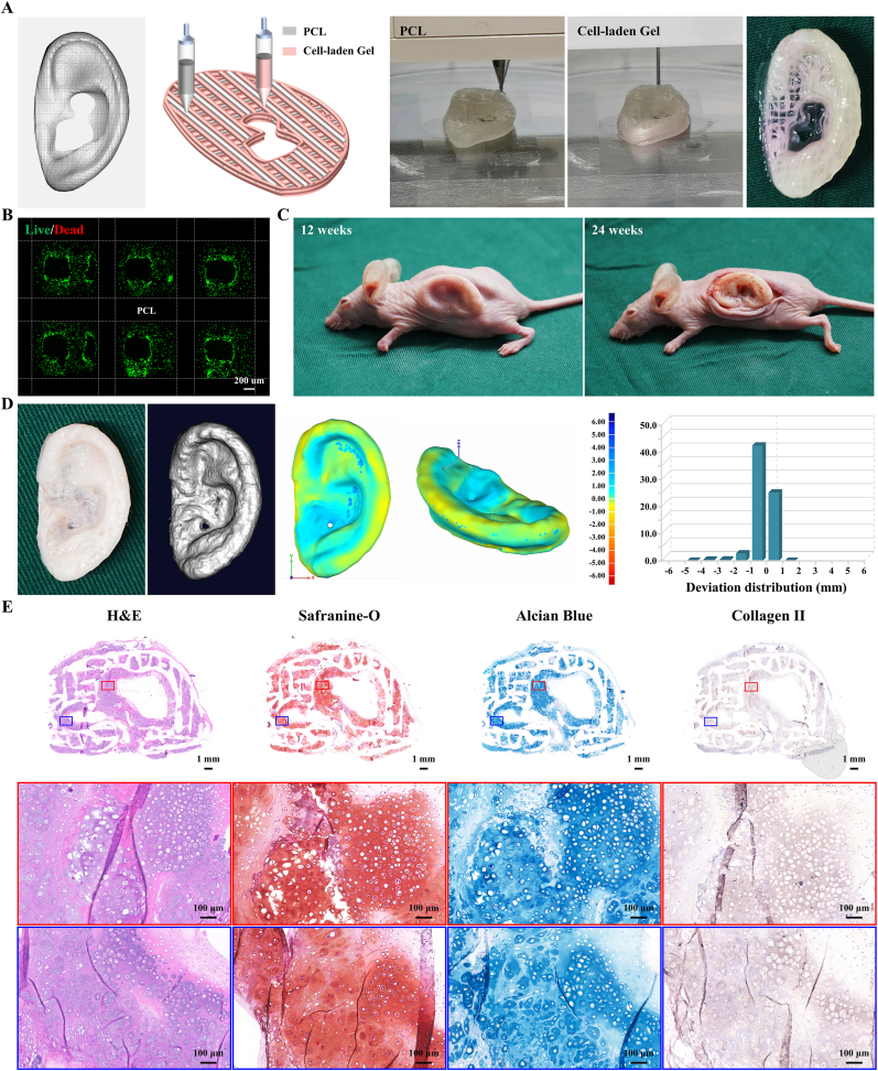 Fig. 7