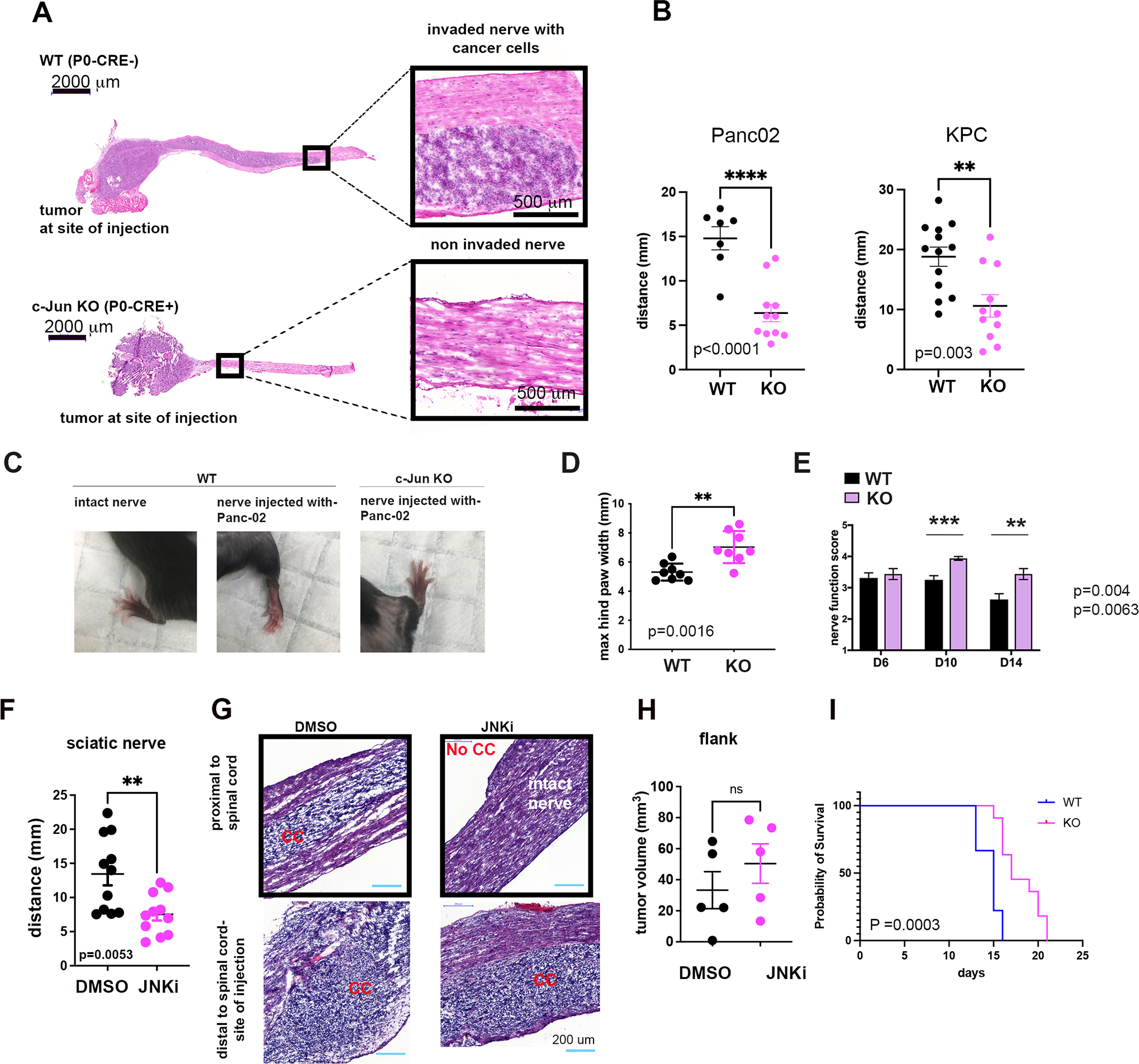 Fig. 7 |