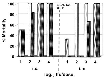 FIG. 6