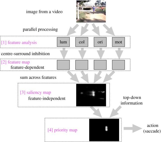 Figure 1.