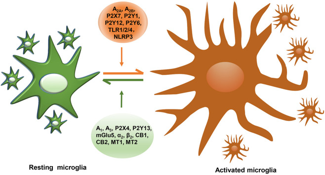 FIGURE 1