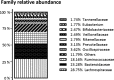 Figure 4 is a stacked bar graph titled family relative abundance, plotting percentage, ranging from 0 to 100 percent in increments of 25 (y-axis) across bacterial families (x-axis) for Lachnospiraceae, Bacteroidaceae, Ruminococcaceae, Others, Oscillospiraceae, Prevotellaceae, Rikenellaceae, Veillonellaceae, Bifidobacteriaceae, Eubacterium, and Tannerellaceae.