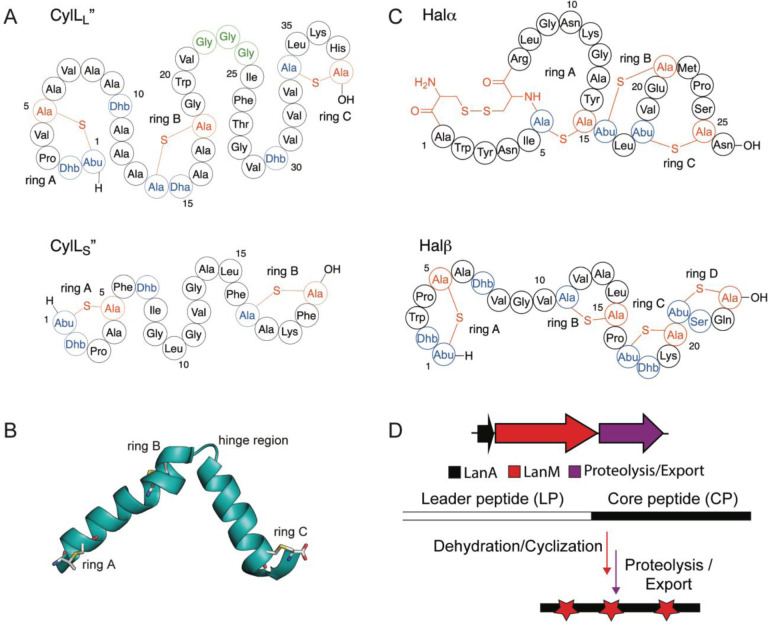 Figure 1: