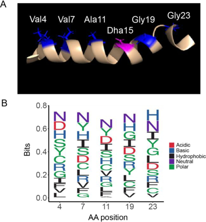 Figure 5: