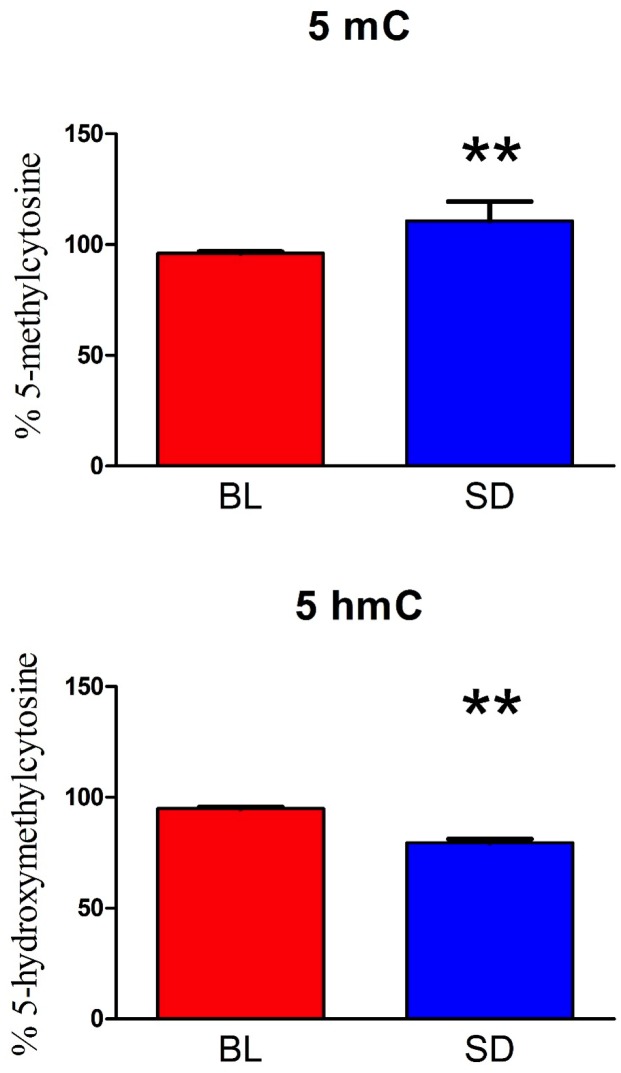 Fig 5