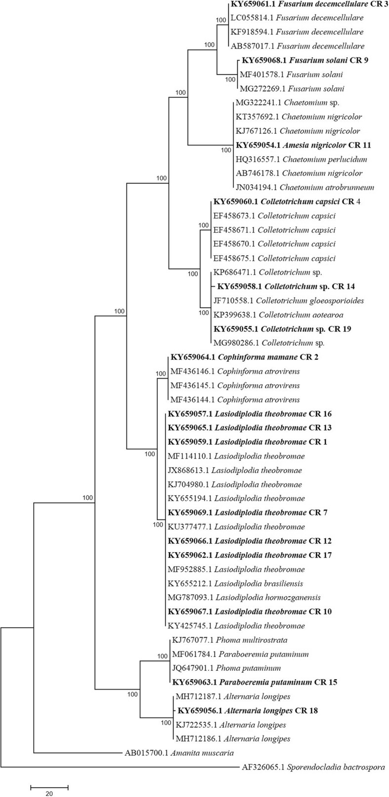 Fig. 1