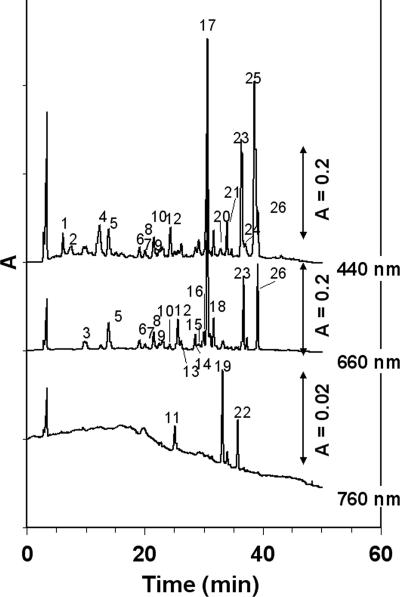 FIG. 2.