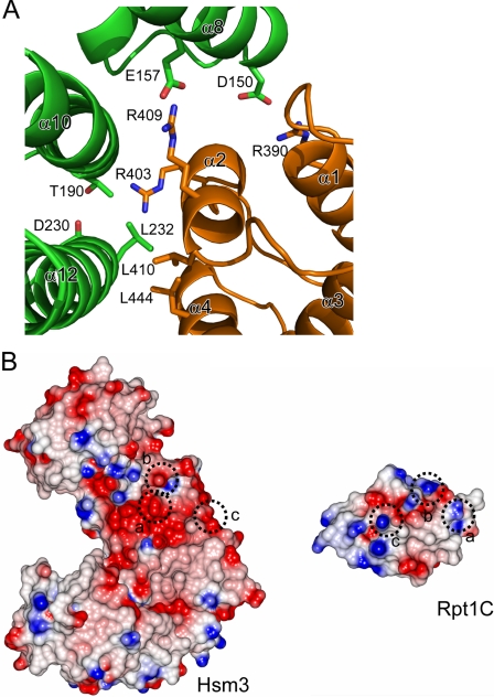 FIGURE 3.