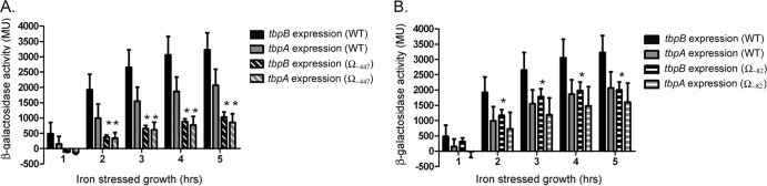 FIG 6