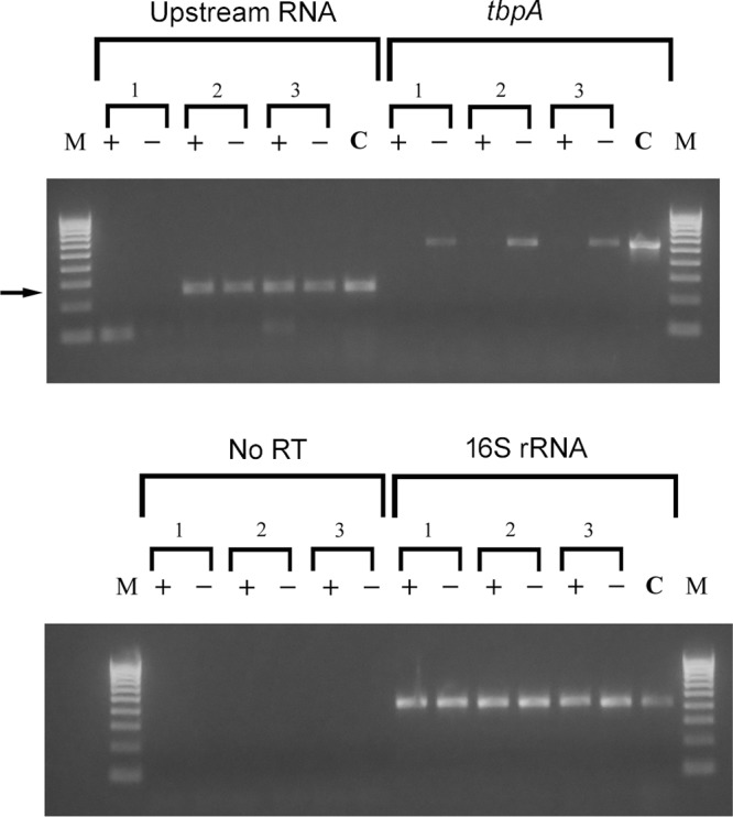 FIG 9