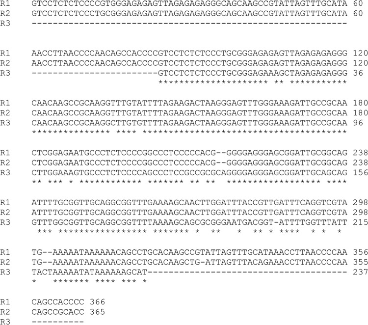 FIG 3