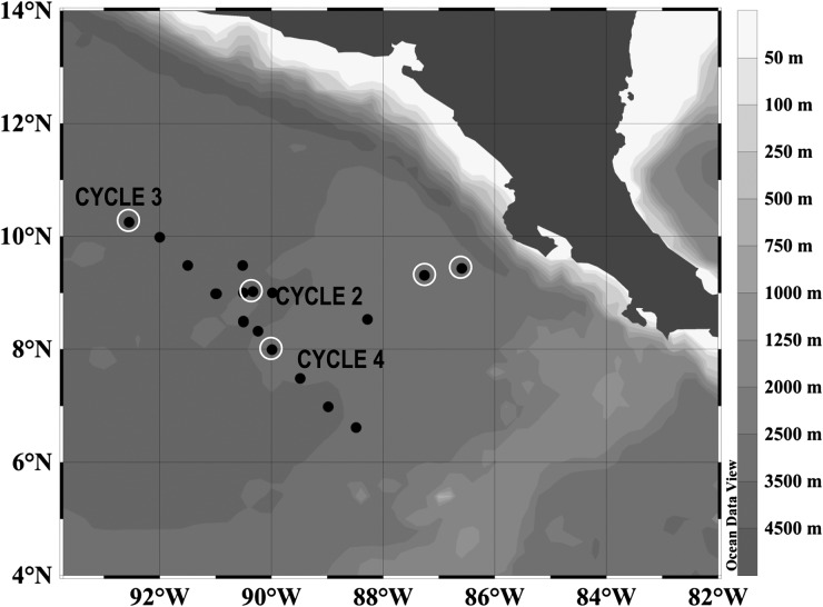 Fig. 1.