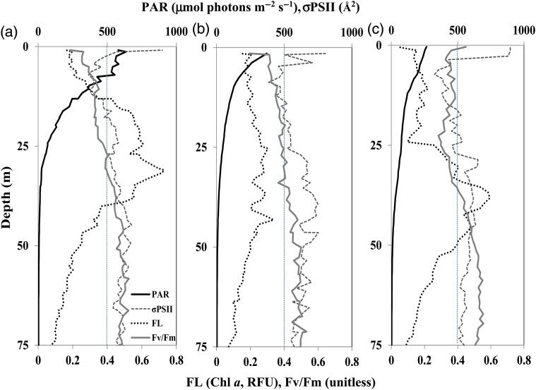 Fig. 3.