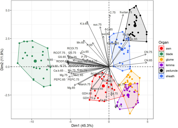 Figure 6